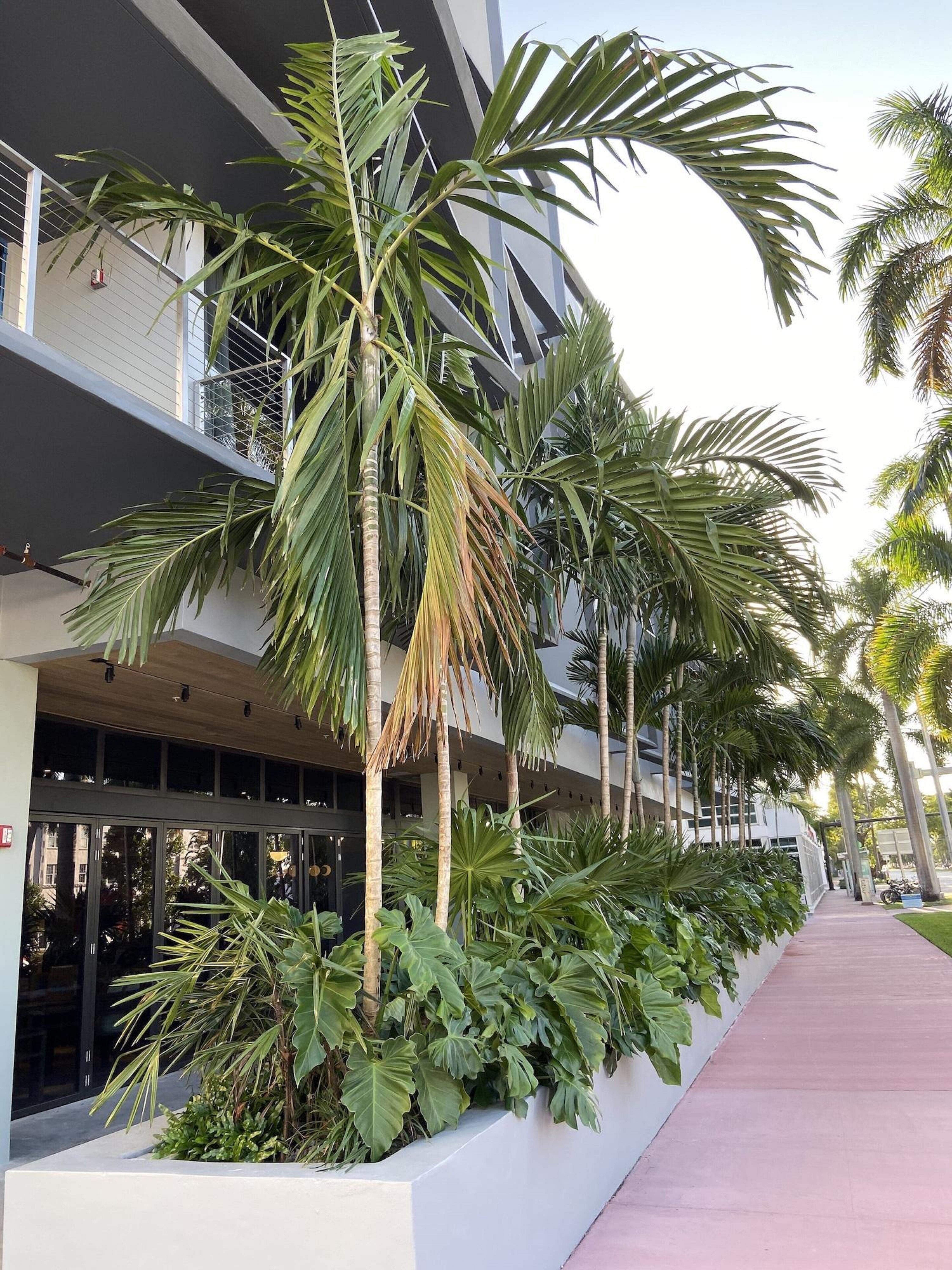 Urbanica Euclid Hotel Miami Beach Esterno foto